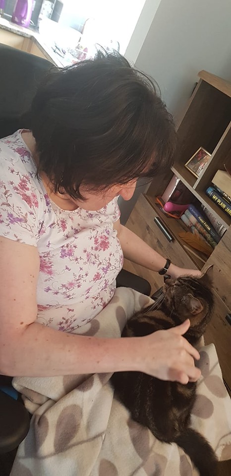 61456019_10156408111900794_2828640554630250496_n