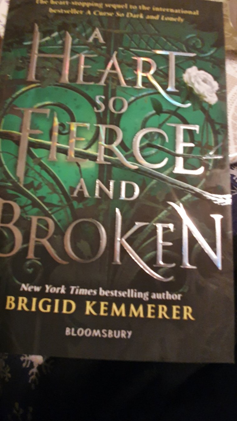 So Fierce and Broken